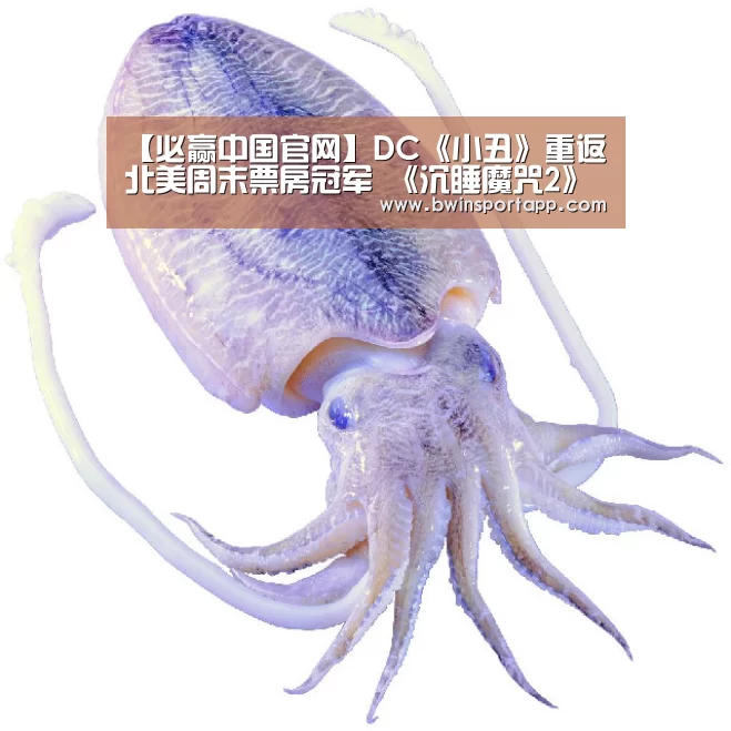 【必赢中国官网】DC《小丑》重返北美周末票房冠军 《沉睡魔咒2》不敌退居次位